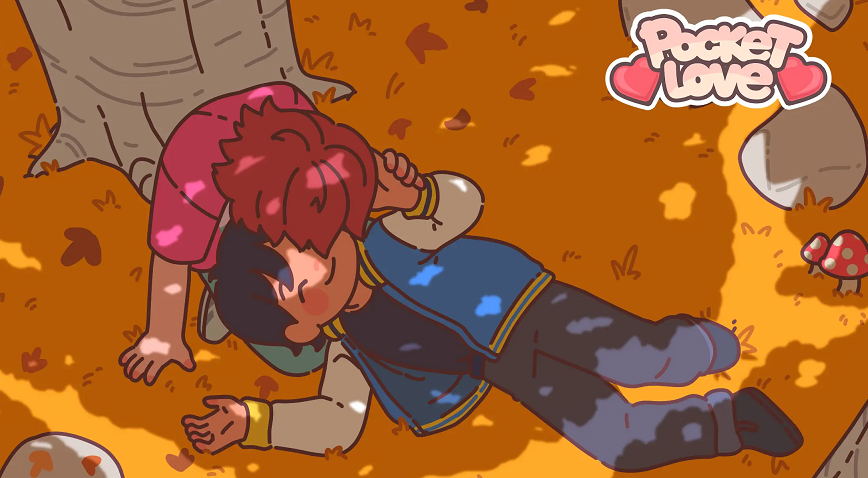 pocket love